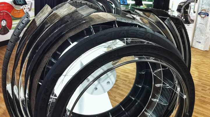 Lasti�in Anatomisi